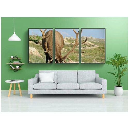 фото Набор модулных постеров для интерьера "лось, рога, национальный парк роки-маунтин" 60x90 см. в тубусе, без рамки lotsprints