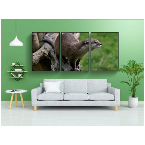 фото Набор модулных постеров для интерьера "выдра, млекопитающее, природа" 60x90 см. в тубусе, без рамки lotsprints