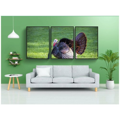 фото Набор модулных постеров для интерьера "птица, дикая природа, турция" 60x90 см. в тубусе, без рамки lotsprints