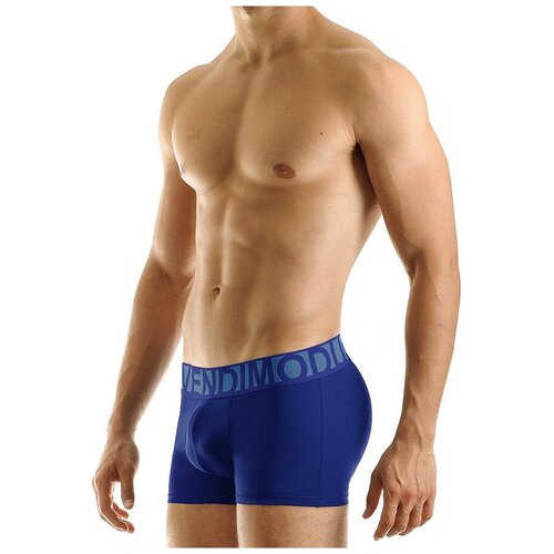 фото Трусы - боксеры "eternal boxer - blue" / modus vivendi / синий / размер xl