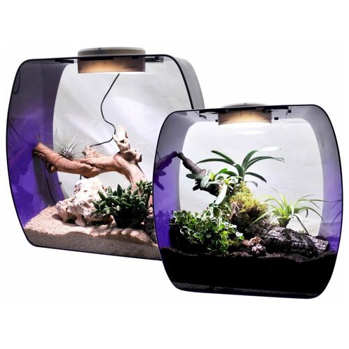 Террариум LUCKY REPTILE Life Box, 30х18х30см, фиолетовый, 14л (Германия) террариум lucky reptile life box белый 35х20х35см 14 литров германия