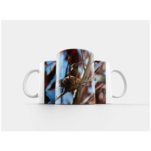 фото Кружка "колибри, небольшой, птицы" 320 мл lotsprints