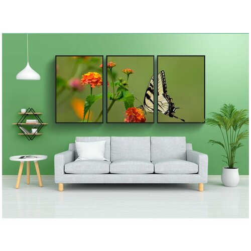 фото Набор модулных постеров для интерьера "ласточкин хвост, бабочка, насекомое" 60x90 см. в тубусе, без рамки lotsprints