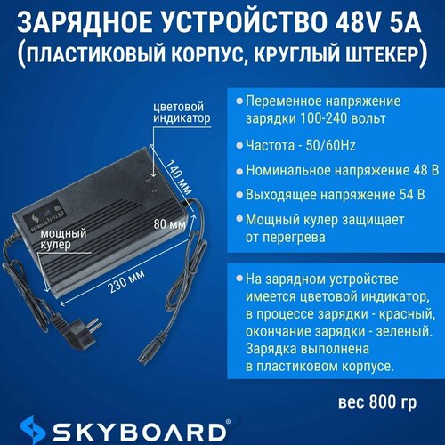 Skyboard Зарядное устройство 48v 5а (пластиковый корпус, круглый штекер)