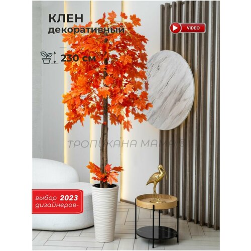 Искусственное дерево клен в кашпо
