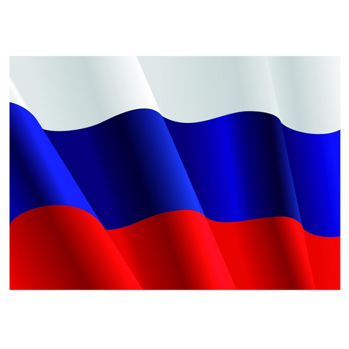 шиитаке руф Флаг России Российский триколор 145х90 см