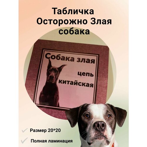 Декоративная табличка Осторожно злая собака