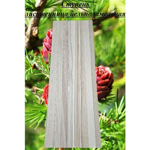 Ступень из массива лиственницы цельноламельной толщина 40мм размер 600мм х 650мм