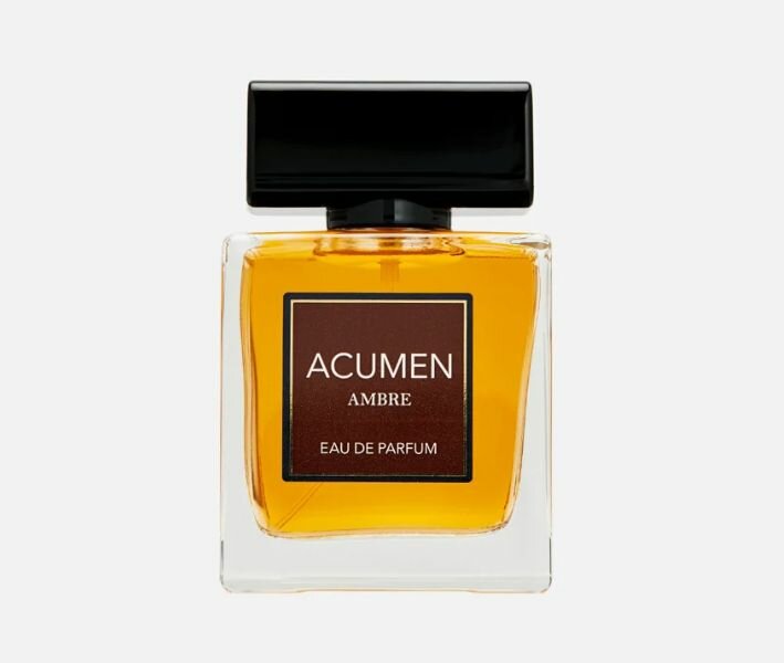 Парфюмерная вода Dilis Acumen AMBRE edt100ml (версия MontblLegNight)