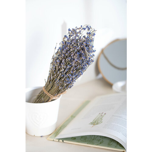 Букет из сухоцветов Лаванда 691₽
