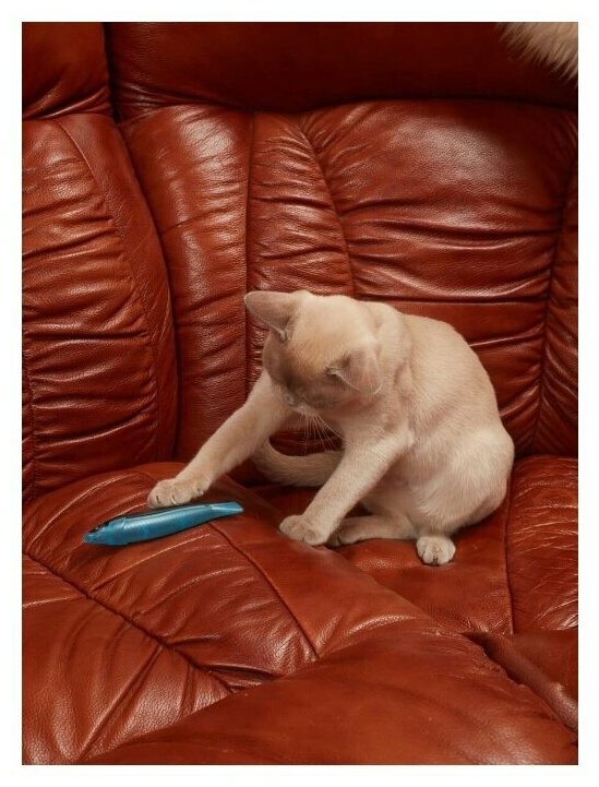 Игрушка для кошек Japan Premium Pet пластиковая рыбка с мататаби для массажа дёсен и переключения внимания кошки от опасных проводов. - фотография № 5