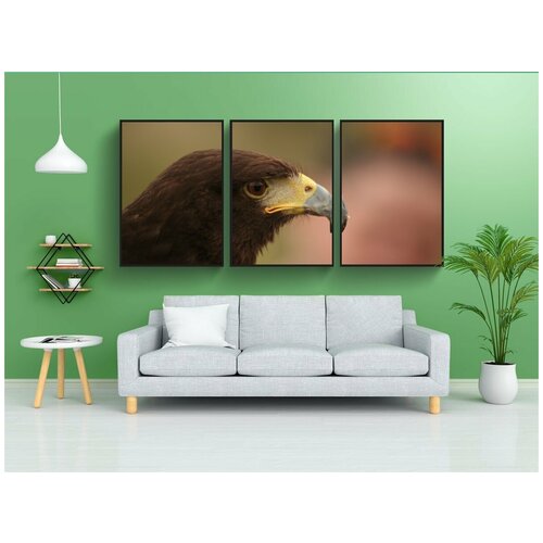 фото Набор модулных постеров для интерьера "харрис ястреб, хищник, птица" 60x90 см. в тубусе, без рамки lotsprints