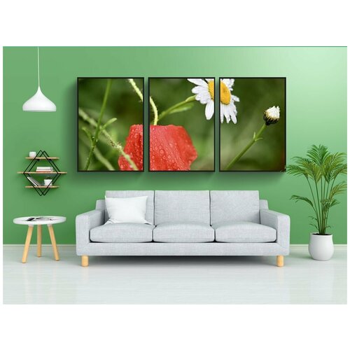 фото Набор модулных постеров для интерьера "мак, маргаритка, цветочный луг" 60x90 см. в тубусе, без рамки lotsprints