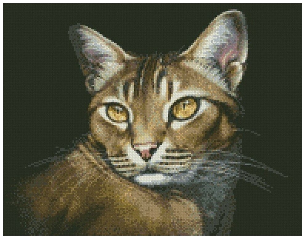 Абиссинская кошка #М-354 Паутинка Набор алмазная мозаика 35 x 45 см