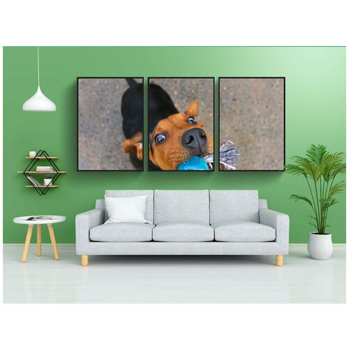 фото Набор модулных постеров для интерьера "щенок, тряпки, шиллер дастерс" 60x90 см. в тубусе, без рамки lotsprints