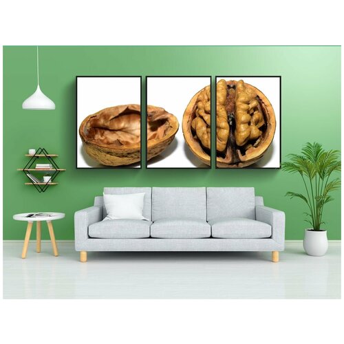 фото Набор модулных постеров для интерьера "грецкий орех, орех, оболочка" 60x90 см. в тубусе, без рамки lotsprints