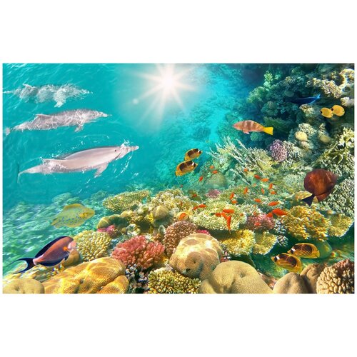 Фотообои Уютная стена Разнообразие кораллового рифа 410х270 см Виниловые Бесшовные (единым полотном)