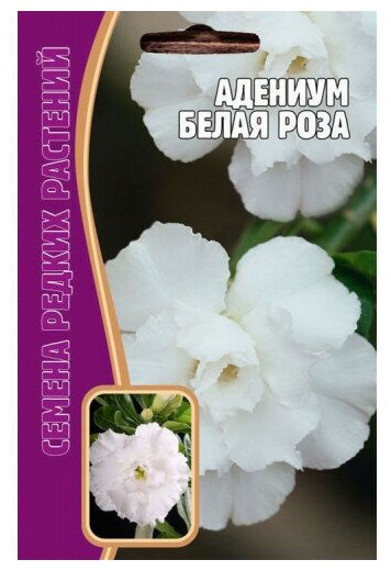 Семена Адениума "БЕЛАЯ роза" (3 сем.)
