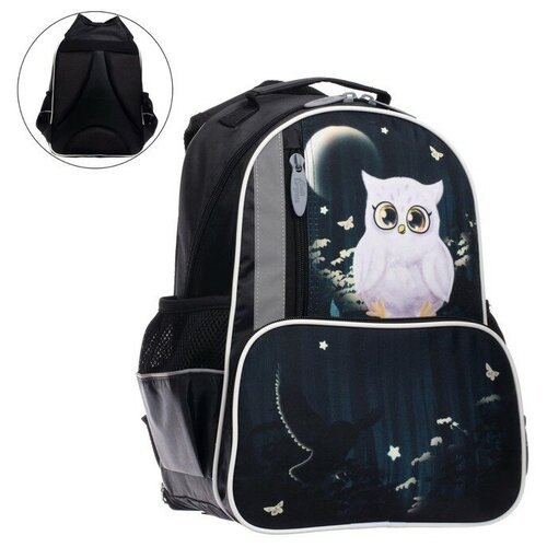 фото Рюкзак школьный calligrata "совушка", 37 х 26 х 13 см, эргономичная спинка mikimarket