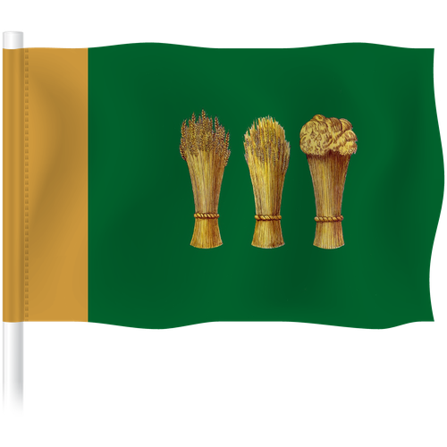 Флаг Пензы / Флаг города Пензы / 90x135 см.