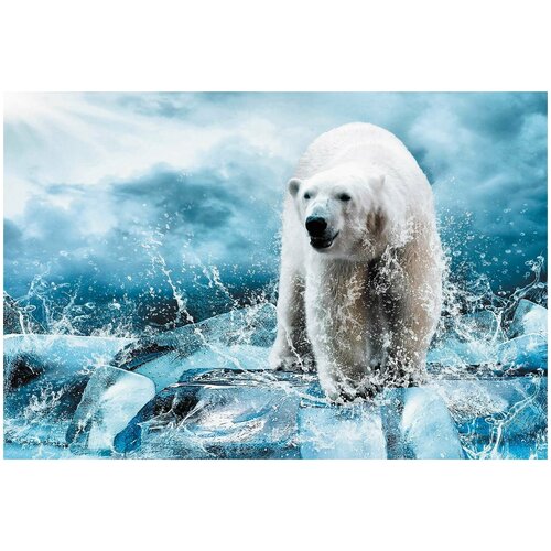 Фотообои Milan Медведь во льдах, M606, 200х135 см, виниловые на флизелиновой основе