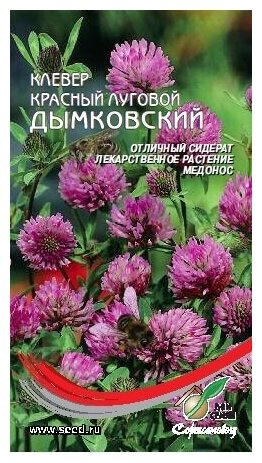 Клевер Красный Дымковский 10гр семян