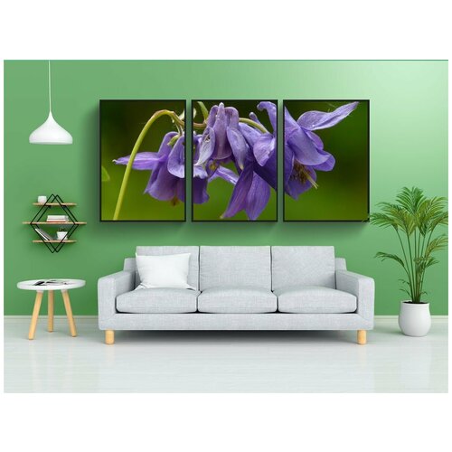 фото Набор модулных постеров для интерьера "коломбина обыкновенная, колумбия, цветок" 60x90 см. в тубусе, без рамки lotsprints