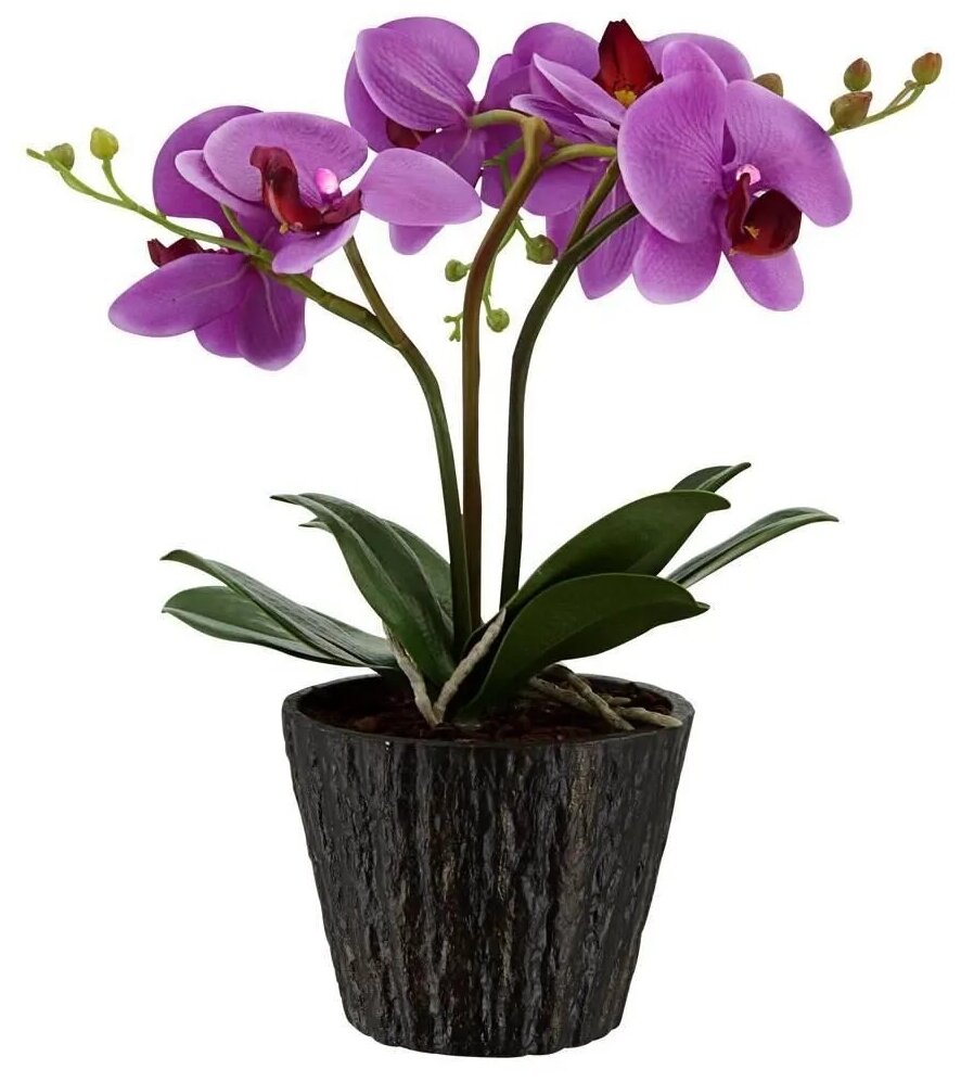 Сила Суздаля | Грунт для орхидей black | Почвогрунт для растений | Подкормка для цветов | Субстракт питательный | 5 л - фотография № 6