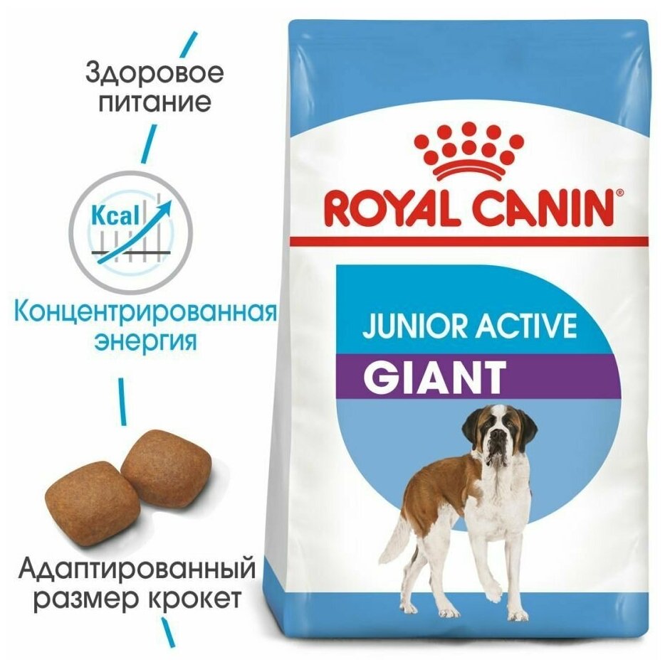 Корм для собак Royal Canin Корм Giant Junior (Джайнт Юниор) сухой для щенков очень крупных размеров до 8 месяцев, 3,5 кг - фотография № 9