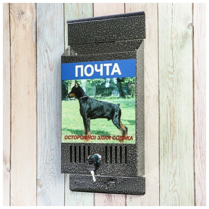 Ящик почтовый с замком, вертикальный, серебристый, картинка микс - фотография № 3