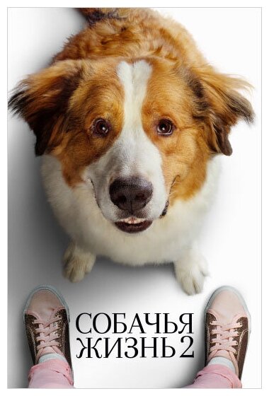 Собачья жизнь 2 (DVD)