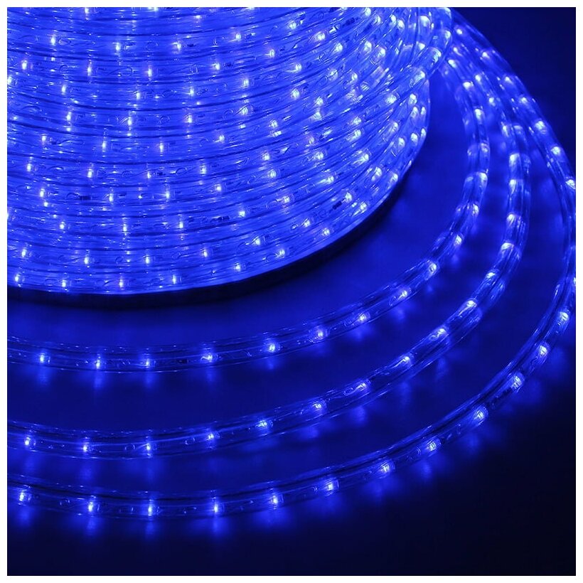 Дюралайт LED, свечение с динамикой (3W) - синий, 24 LED/м, бухта 100м - фотография № 1