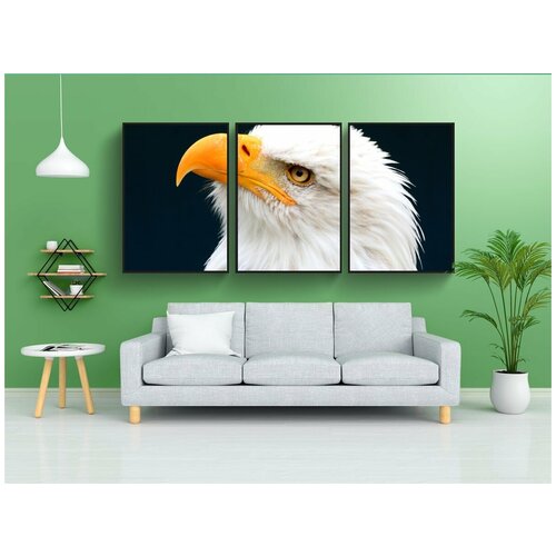 фото Набор модулных постеров для интерьера "орлан-белохвост, орел, хищные птицы" 60x90 см. в тубусе, без рамки lotsprints