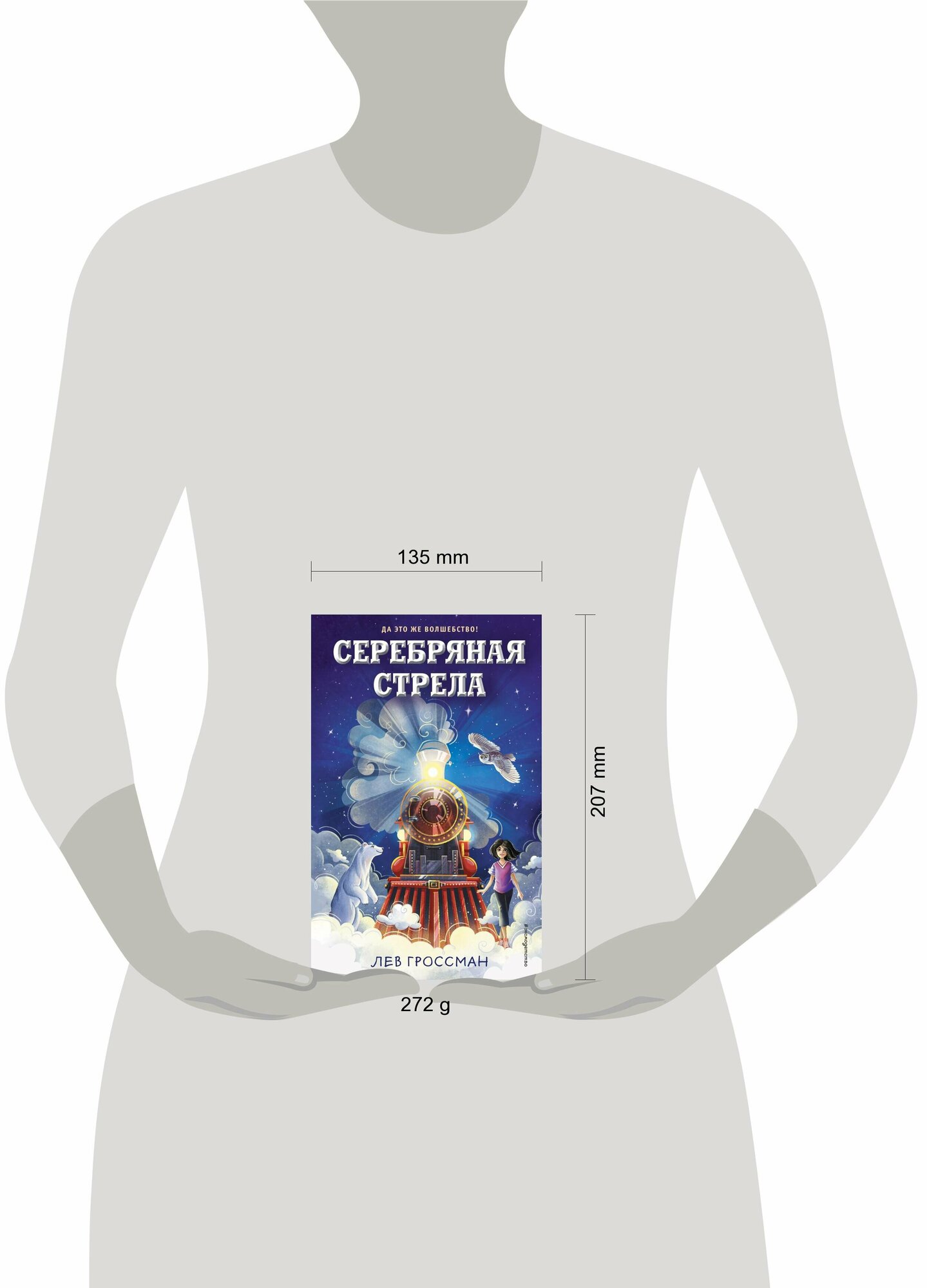 Серебряная Стрела (Лев Гроссман) - фото №14