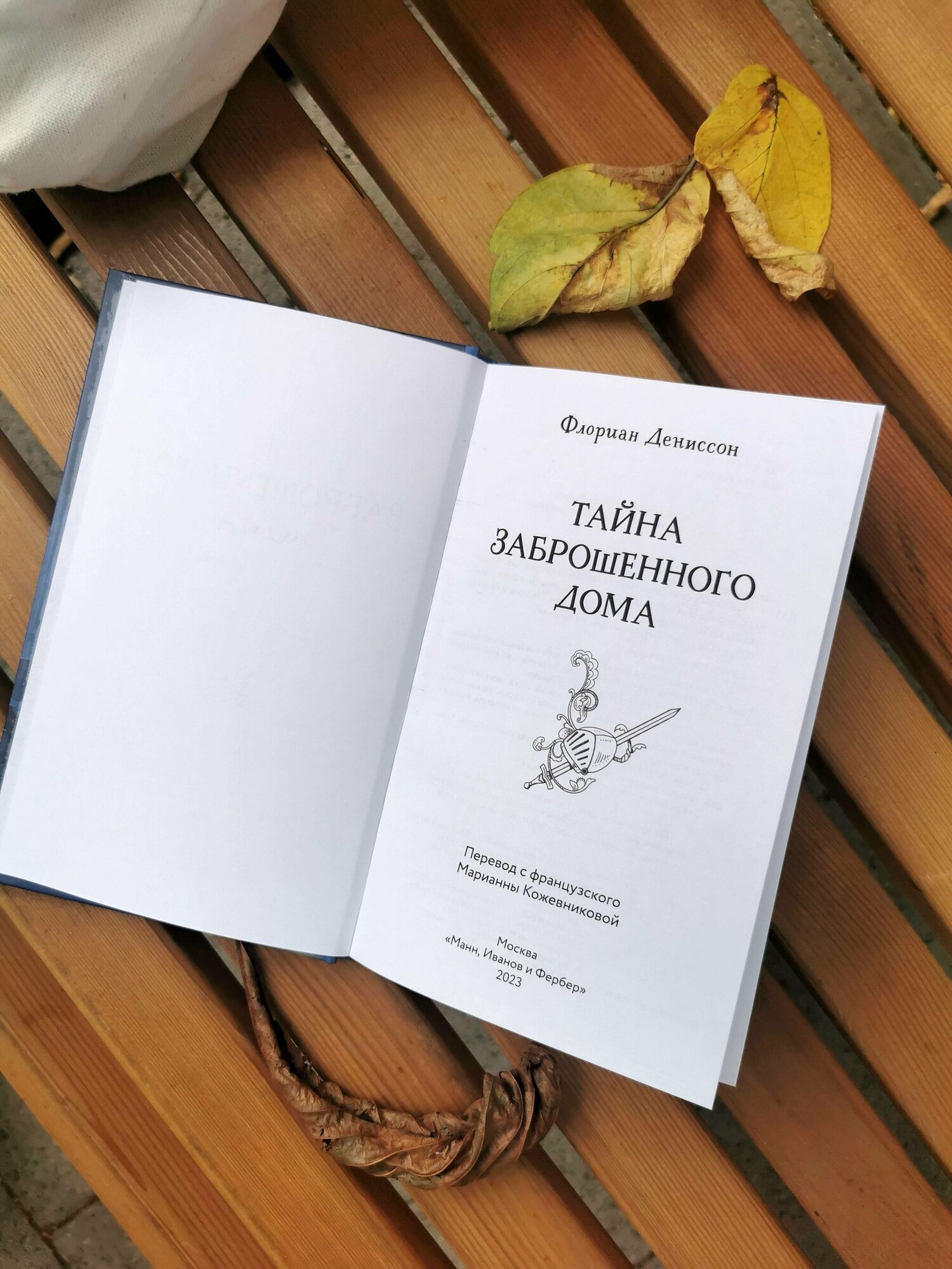 Тайна заброшенного дома (Флориан Дениссон, Марианна Кожевникова, переводчик, Юлия Широнина, иллюстратор) - фото №7
