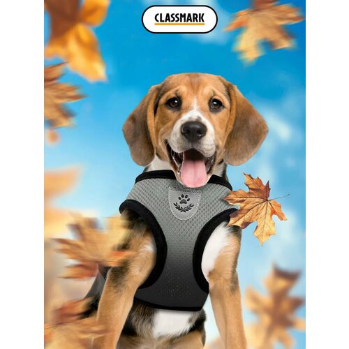 Шлейка для собак и кошек всех пород регулируемая прогулочная 323₽