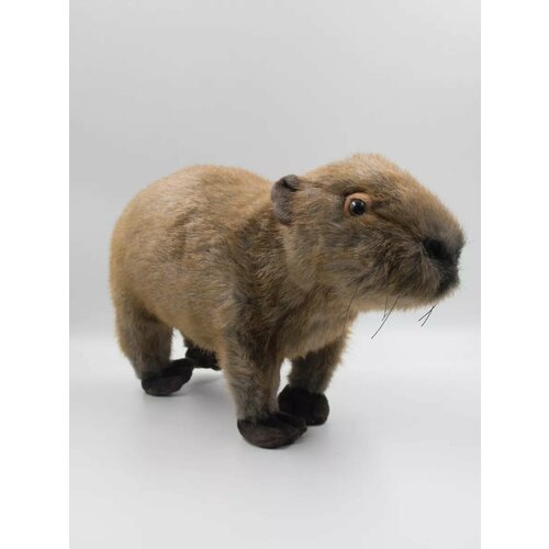 Мягкая реалистичная игрушка Капибара