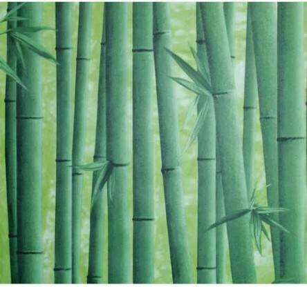 Пленка самоклеящаяся D&B 09-1А 0,45*8м бамбук зеленый