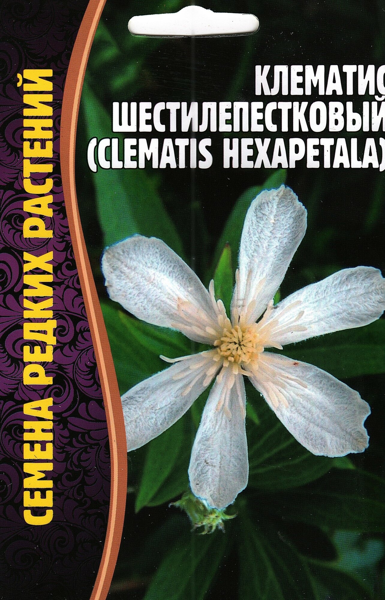 Клематис шестилепестковый Clematis hexapetala семена многолетних цветов ( 1 уп: 10 семян )