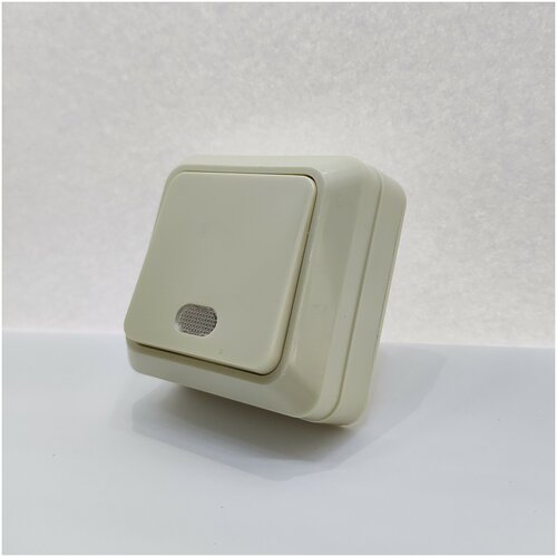 Выключатель одинарный 1кл накладной открытой установки с подсветкой бежевый 10А 168₽