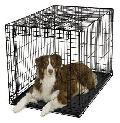 Клетка MidWest Ovation для собак 95х59х64h см, с торцевой вертикально-откидной дверью, черная - фотография № 3