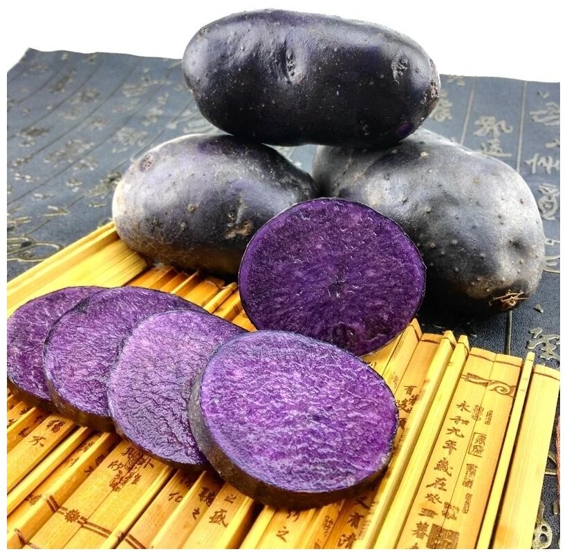 Семена Картофель фиолетовый редчайший (Гурман) 5 шт.