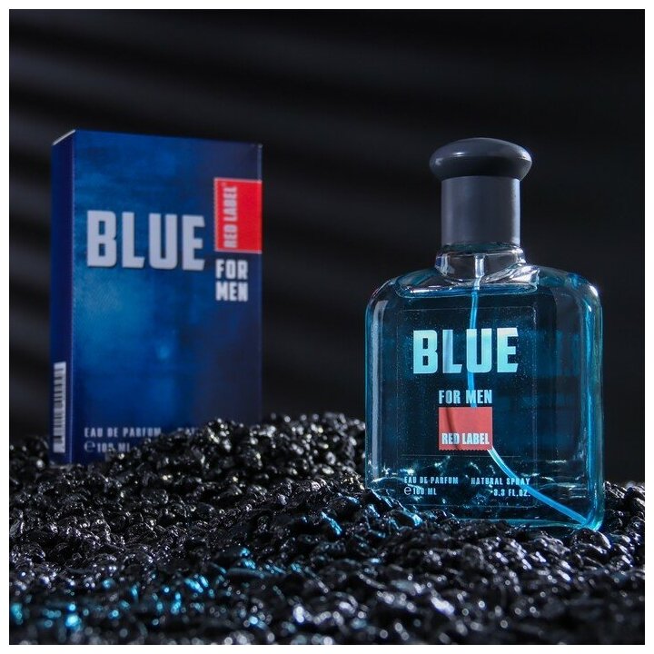 Парфюмерная вода мужская Red Label Blue, 100 мл 9148707
