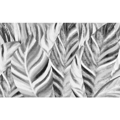 Моющиеся виниловые фотообои Фон банановые листья черно-белые, 420х260 см