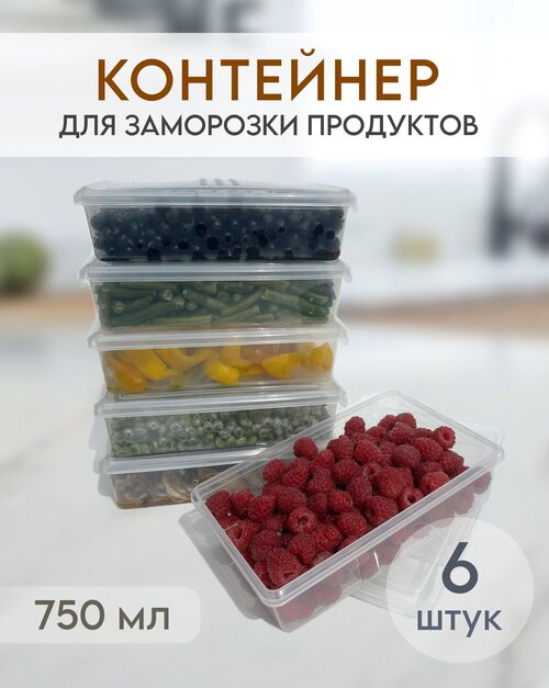 Комплект емкостей контейнеров для заморозки и хранения продуктов, объем 750 мл, 6 шт.