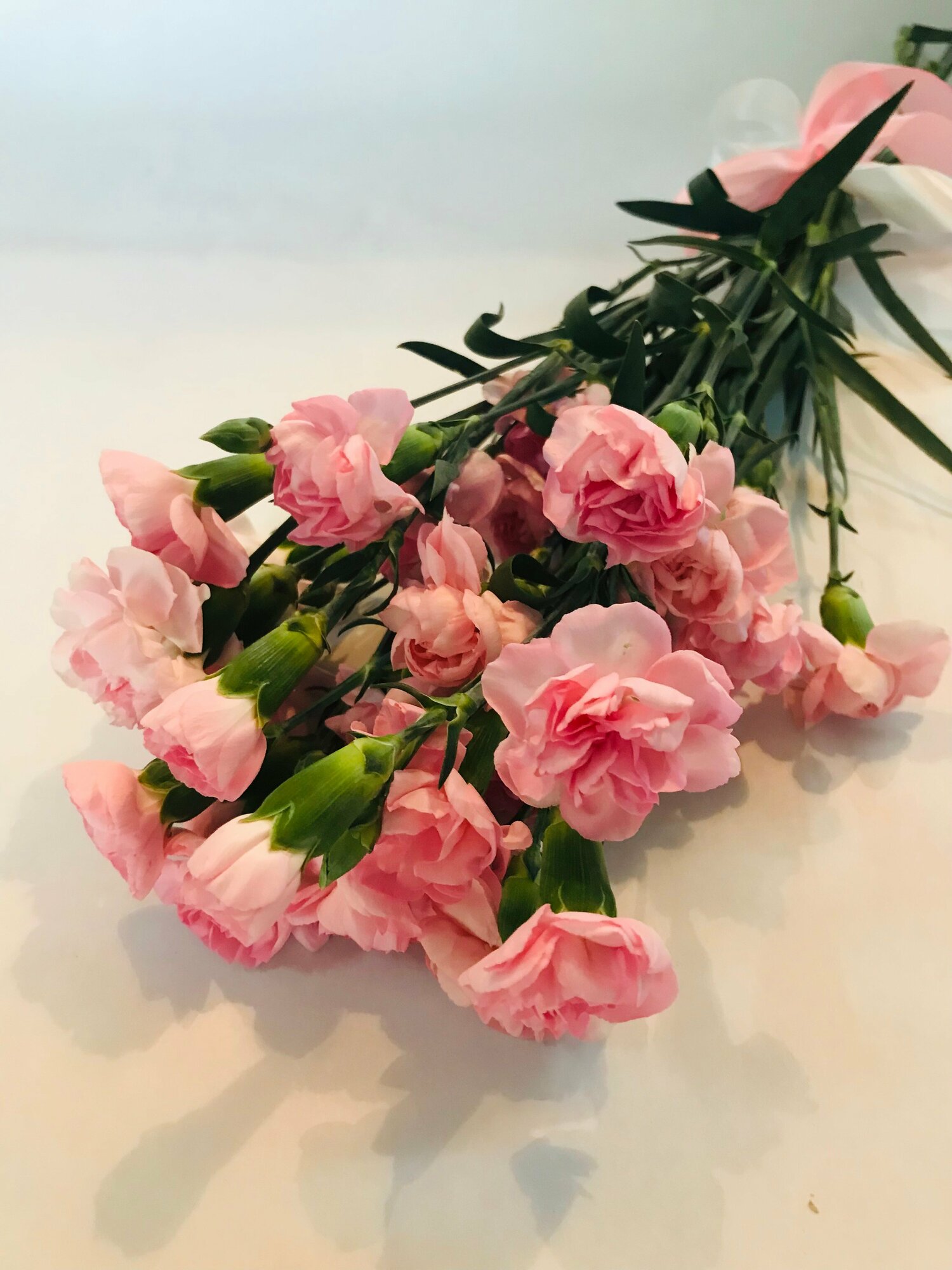 Букет из 7 свежих кустовых розовых гвоздик 55 см под бант