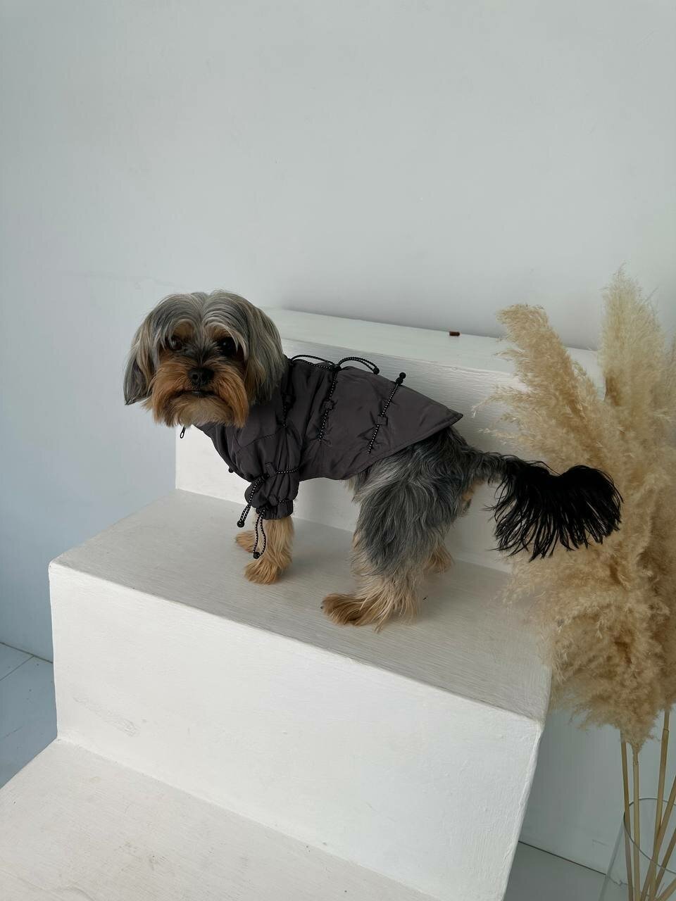 Куртка с утяжками для собак мелких и средних пород - фотография № 5