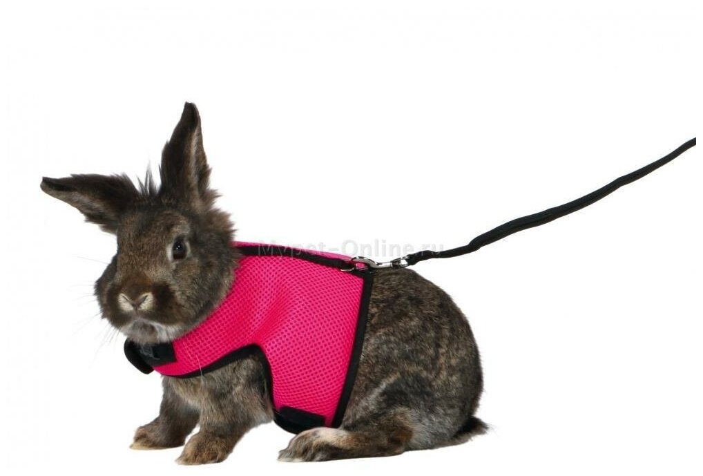 Шлейка для кроликов Trixie Soft Harness XL - фотография № 5