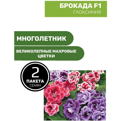 Цветы Глоксиния Брокада F1 2 пакета по 5шт семян