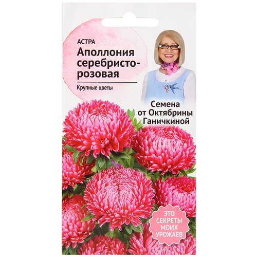 Астра Аполлония серебристо-розовая 0,2 г / семена однолетних цветов для сада / однолетние цветы для балкона в грунт /